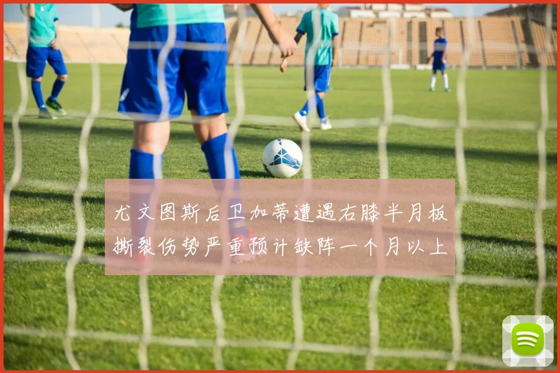 尤文图斯后卫加蒂遭遇右膝半月板撕裂伤势严重预计缺阵一个月以上
