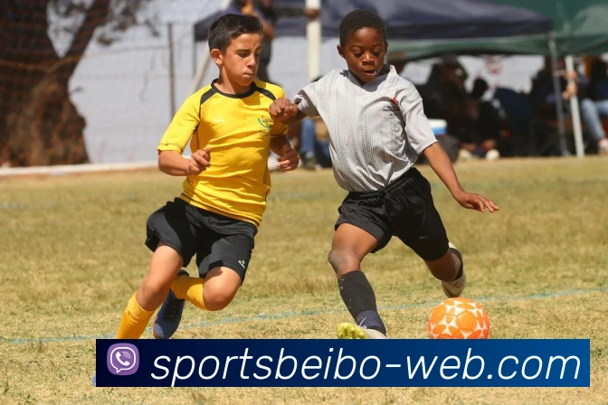 贝博体育全站App